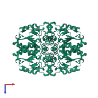 Homo tetrameric assembly 1 of PDB entry 2jeo coloured by chemically distinct molecules, top view.