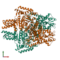 Hetero dimeric assembly 1 of PDB entry 2jgd coloured by chemically distinct molecules, front view.