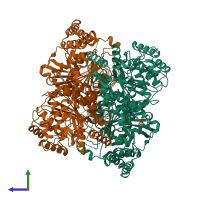 Hetero dimeric assembly 1 of PDB entry 2jgd coloured by chemically distinct molecules, side view.