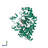 PDB entry 2jjh coloured by chain, side view.
