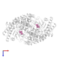 2-OXOGLUTARIC ACID in PDB entry 2jjh, assembly 1, top view.