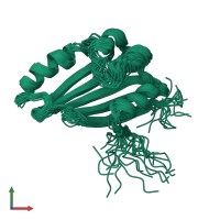 PDB entry 2joe coloured by chain, ensemble of 20 models, front view.