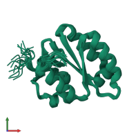 PDB entry 2jpd coloured by chain, ensemble of 20 models, front view.