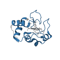 The deposited structure of PDB entry 2jqr contains 1 copy of Pfam domain PF00034 (Cytochrome c) in Cytochrome c isoform 1. Showing 1 copy in chain A.