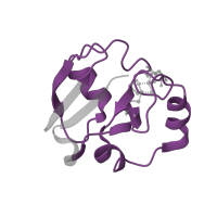 The deposited structure of PDB entry 2jqr contains 1 copy of Pfam domain PF00111 (2Fe-2S iron-sulfur cluster binding domain) in Adrenodoxin, mitochondrial. Showing 1 copy in chain B.
