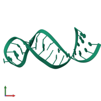 RNA (29-MER) in PDB entry 2jwv, assembly 1, front view.