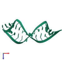 RNA (29-MER) in PDB entry 2jwv, assembly 1, top view.