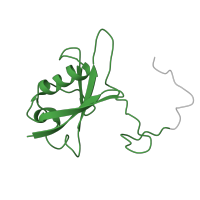 The deposited structure of PDB entry 2jz3 contains 1 copy of SCOP domain 54237 (Ubiquitin-related) in Elongin-B. Showing 1 copy in chain B.