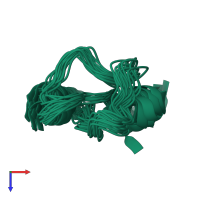 PDB entry 2k2y coloured by chain, ensemble of 20 models, top view.