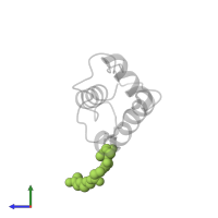 N~3~-[(2S)-2-hydroxy-3,3-dimethyl-4-(phosphonooxy)butanoyl]-N-{2-[(3-oxobutyl)sulfanyl]ethyl}-beta-alaninamide in PDB entry 2kgd, assembly 1, side view.