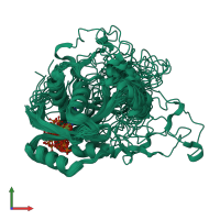 PDB entry 2kmx coloured by chain, ensemble of 20 models, front view.