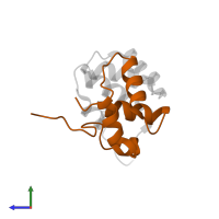 Large ribosomal subunit protein P2 in PDB entry 2lbf, assembly 1, side view.