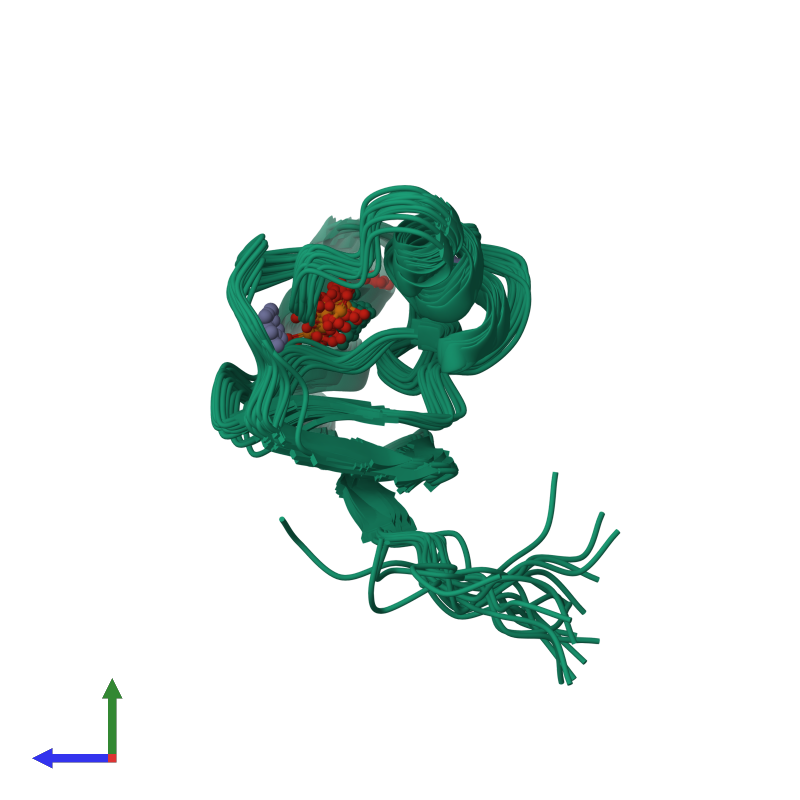 PDB entry 2ldr coloured by chain, ensemble of 20 models, side view.