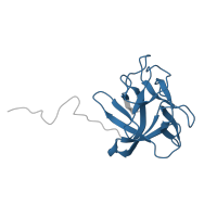 The deposited structure of PDB entry 2lie contains 1 copy of Pfam domain PF21595 (CCL2 lectin-like) in CCL2-like lectin domain-containing protein. Showing 1 copy in chain A.