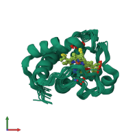 PDB entry 2lir coloured by chain, ensemble of 20 models, front view.