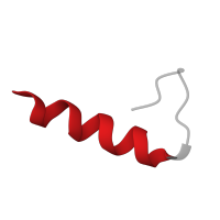 The deposited structure of PDB entry 2lke contains 1 copy of Pfam domain PF00357 (Integrin alpha cytoplasmic region) in Integrin alpha-M. Showing 1 copy in chain A.