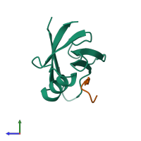 Hetero dimeric assembly 1 of PDB entry 2lob coloured by chemically distinct molecules, side view.