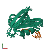 PDB entry 2lob coloured by chain, ensemble of 7 models, front view.