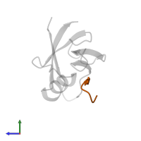 Cystic fibrosis transmembrane conductance regulator in PDB entry 2lob, assembly 1, side view.