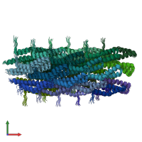 PDB entry 2lpz coloured by chain, ensemble of 10 models, front view.