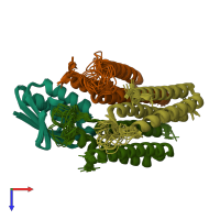 PDB entry 2lrk coloured by chain, ensemble of 21 models, top view.