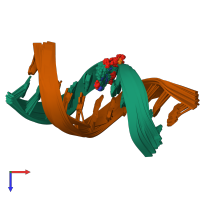 PDB entry 2lsz coloured by chain, ensemble of 26 models, top view.