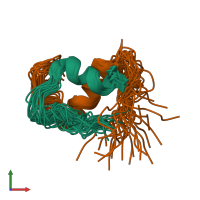 PDB entry 2m2p coloured by chain, ensemble of 30 models, front view.