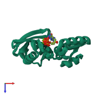 PDB entry 2m2u coloured by chain, ensemble of 20 models, top view.