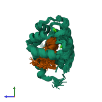 PDB entry 2m55 coloured by chain, ensemble of 20 models, side view.