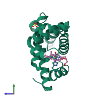 PDB entry 2mgf coloured by chain, side view.