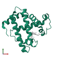 Myoglobin in PDB entry 2mgg, assembly 1, front view.