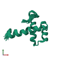 PDB entry 2mgq coloured by chain, ensemble of 20 models, front view.