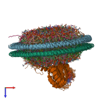 PDB entry 2msd coloured by chain, ensemble of 10 models, top view.