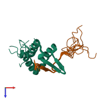 PDB entry 2mv7 coloured by chain, ensemble of 10 models, top view.