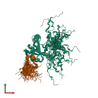 PDB entry 2my2 coloured by chain, ensemble of 20 models, front view.