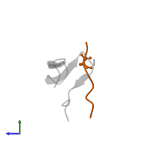 Cytoplasmic polyadenylation element-binding protein 1 in PDB entry 2n1o, assembly 1, side view.