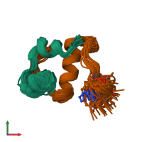 PDB entry 2n2w coloured by chain, ensemble of 30 models, front view.