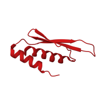 The deposited structure of PDB entry 2n3g contains 1 copy of CATH domain 3.30.160.20 (Double Stranded RNA Binding Domain) in Double-stranded RNA-binding protein 4. Showing 1 copy in chain A.