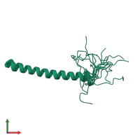 PDB entry 2n7r coloured by chain, ensemble of 20 models, front view.