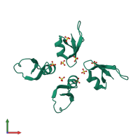 Homo tetrameric assembly 5 of PDB entry 2nlg coloured by chemically distinct molecules, front view.