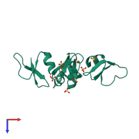 Homo tetrameric assembly 5 of PDB entry 2nlg coloured by chemically distinct molecules, top view.