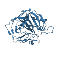 The deposited structure of PDB entry 2nmx contains 2 copies of Pfam domain PF00194 (Eukaryotic-type carbonic anhydrase) in Carbonic anhydrase 1. Showing 1 copy in chain A.