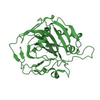 The deposited structure of PDB entry 2nmx contains 2 copies of SCOP domain 51070 (Carbonic anhydrase) in Carbonic anhydrase 1. Showing 1 copy in chain A.