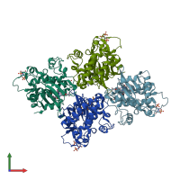 PDB entry 2nru coloured by chain, front view.