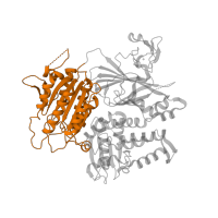 The deposited structure of PDB entry 2nup contains 1 copy of CATH domain 3.40.50.410 (Rossmann fold) in Protein transport protein Sec23A. Showing 1 copy in chain A.