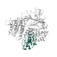 The deposited structure of PDB entry 2nup contains 1 copy of CATH domain 3.40.20.10 (Severin) in Protein transport protein Sec24A. Showing 1 copy in chain B.