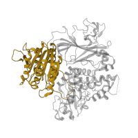 The deposited structure of PDB entry 2nup contains 1 copy of CATH domain 3.40.50.410 (Rossmann fold) in Protein transport protein Sec24A. Showing 1 copy in chain B.