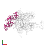 DNA-directed RNA polymerase subunit alpha in PDB entry 2o5j, assembly 1, front view.