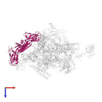 DNA-directed RNA polymerase subunit alpha in PDB entry 2o5j, assembly 1, top view.