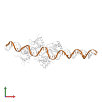 interferon-b enhancer in PDB entry 2o6g, assembly 1, front view.